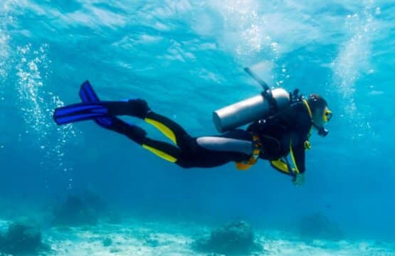 Embarquez et découvrez les plus beaux sites de la Côte d’Azur par la mer